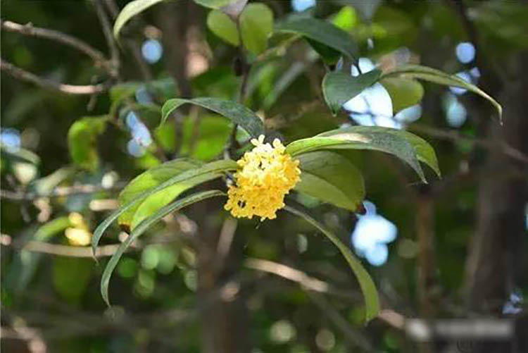 程力風(fēng)采：金秋九月，我在程力等您
